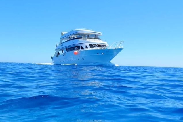 Private Boat trip in Red Sea – Snorkeling and Diving in Sharm el Sheikh