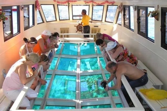 Glass Boat excursion in Sharm El sheikh